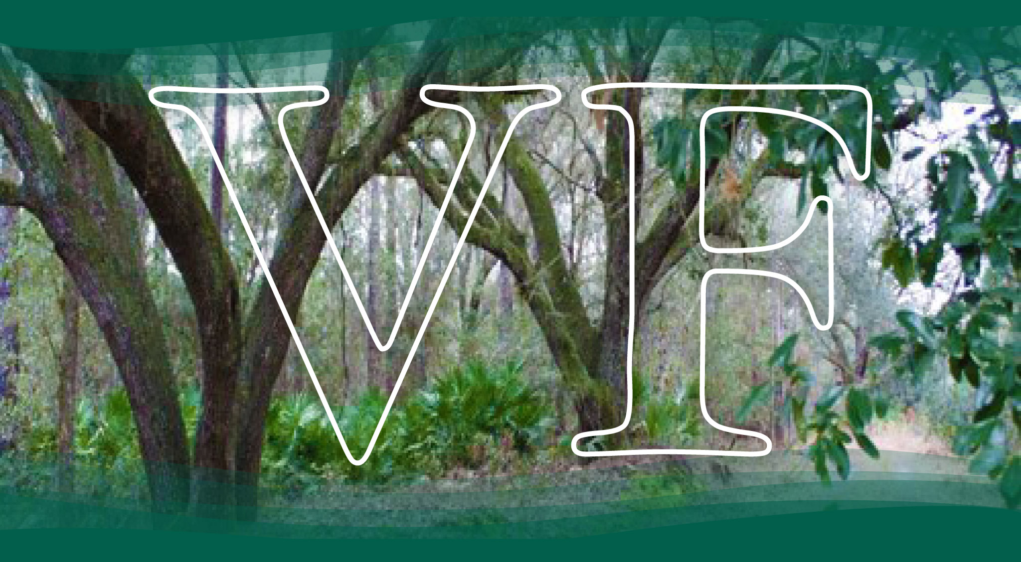 Banner_VolusiaForever Banner Image with VF for Volusia Forever. Background is an oak forested area.