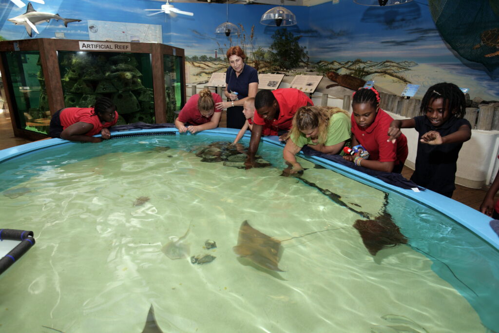 Image of woman with kids in museum/touch-pool with sea life at the Marine Science Center.