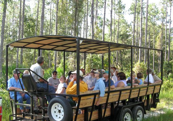 ecobuggy (1) 1 Tour Buggie at Deep Creek Preserve